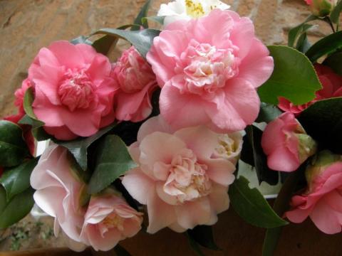 Foto: Národní památkový ústav v Kroměříži