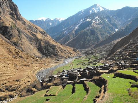 Foto: Tomáš Novák