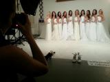 Finalistky Miss Academia 2013 (Foto: Miss Academia)