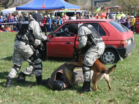 Den Salvatora 2011 (Foto: Den Salvatora)