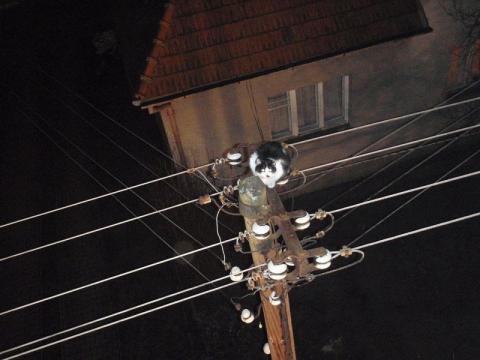 Foto: www.hzszlk.eu