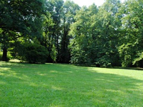 Ilustrační foto (Foto: Zlin.cz)