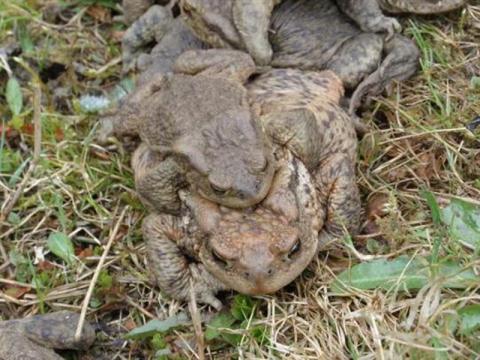 Foto: MÚ Valašské Meziříčí