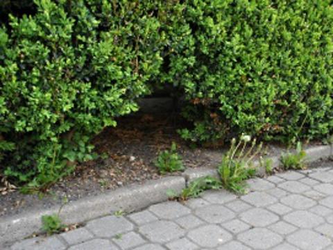 Foto: MÚ Valašské Meziříčí