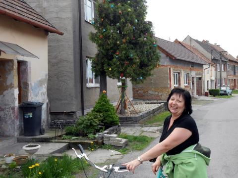 Strom pozitivník (Foto: Zlin.cz)