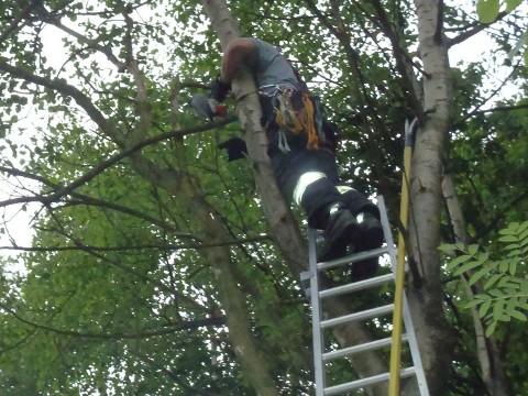 Foto: HZS Zlínského kraje