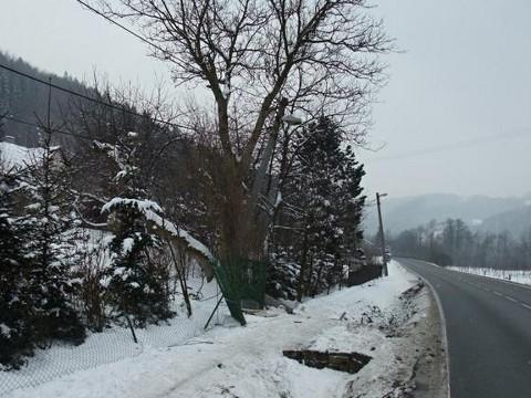 Foto: MÚ Valašské Meziříčí