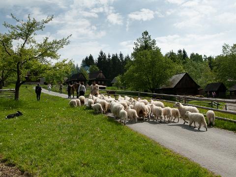 Foto: Centrála cestovního ruchu Východní Moravy