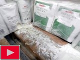 Stopy požeru a myší trus v regále s moukou (Foto: www.szpi.gov.cz)