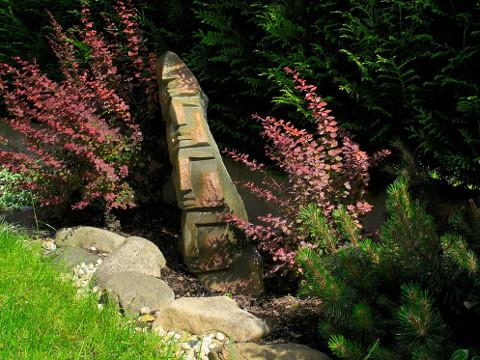 Ilustrační foto (Foto: africkesochy.cz)