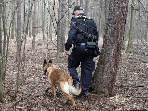 Ilustrační foto (Foto: Policie ČR)