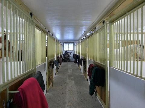 Foto: Ranč Bučiska