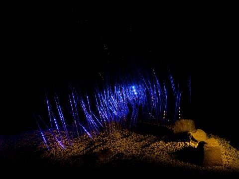 Křišťálová jeskyně (Foto: Centrála cestovního ruchu Východní Moravy)