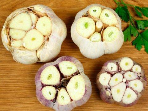 Ilustrační foto (Foto: Centrála cestovního ruchu Východní Moravy)