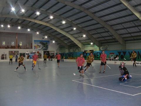 Ilustrační foto (Foto: www.hornetscup.cz)