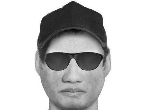 Identikit lupiče (Foto: Policie ČR)