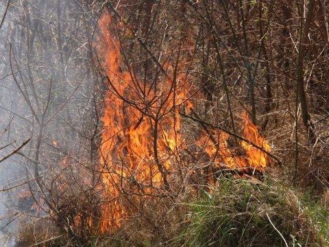 Foto: Zlínský kraj