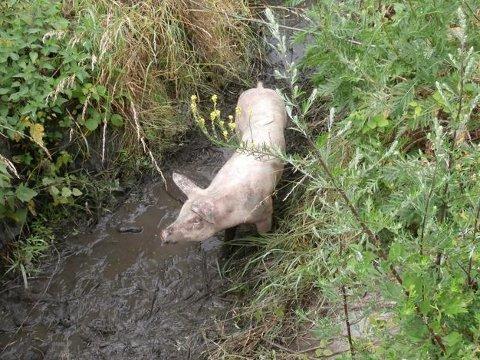 Foto: MěÚ Valašské Meziříčí