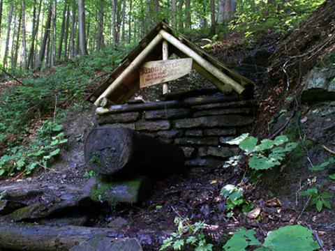 Ilustrační foto (Foto: Český svaz ochránců přírody)