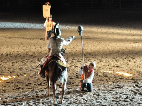 Noční koňská show (Foto: www.kostelany.cz)