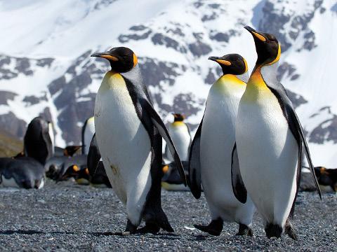 Foto: Jiří Záruba