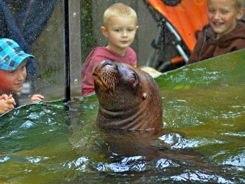 Foto: Centrála cestovního ruchu Východní Moravy
