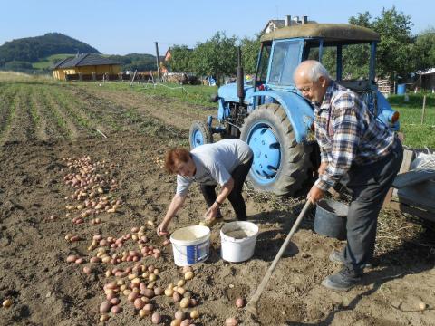 Pan Alfons umí zabrat i v osmdesáti (Foto: Zlin.cz)