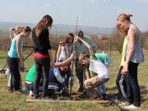 Foto: www.liska-evvo.cz