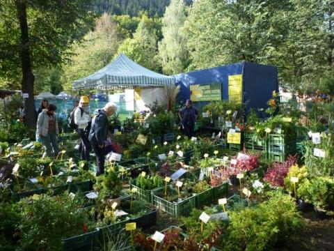 Foto: Valašská zahrada