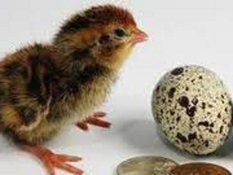 Foto: Bylinkář Standa