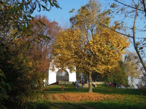 Ilustrační foto (Foto: www.liska-evvo.cz)