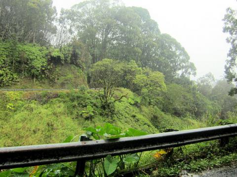 Cesta do města Hana (Foto: www.wikipedia.org)