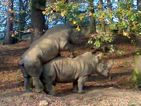 Foto: Facebook ZOO a zámek Zlín - Lešná