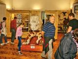 expozice Zvířata na Zemi a člověk (Foto: archív MJVM)