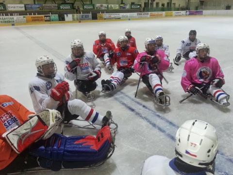 Ilustrační foto (Foto: www.czechsledgehockey.cz)