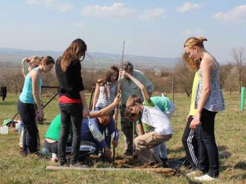 Ilustrační foto (Foto: www.liska-evvo.cz/)