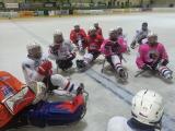 Ilustrační foto (Foto: www.czechsledgehockey.cz)