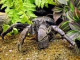 Kolekce zvířat se rozrostla o dva druhy (Foto: www.zoozlin.eu)
