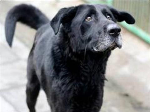 Foto: MěÚ Valašské Meziříčí