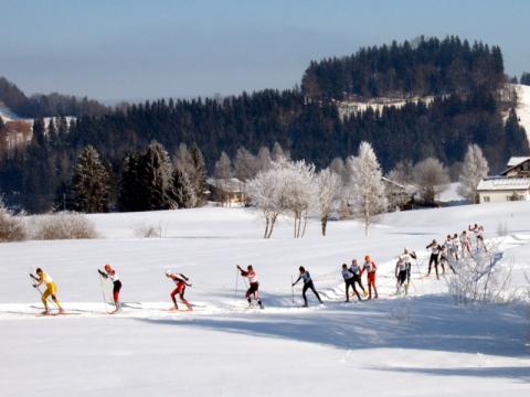Ilustrační foto (Foto: Wikipedia.org)