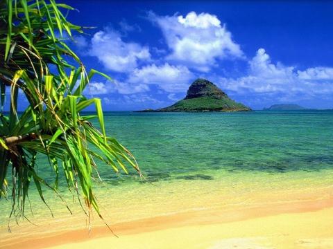 Prostě Havaj! (Foto: Masarykova veřejná knihovna Vsetín)