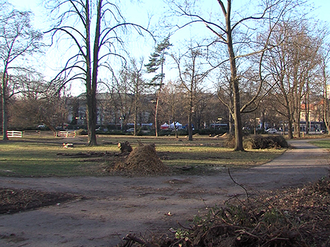 Park Komenského ve Zlíně (Foto: Televize Zlín) Park Komenského ve Zlíně (Foto: Televize Zlín)