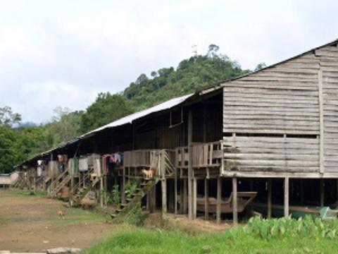 Ilustrační foto - Borneo (Foto: MěÚ Valašské Meziříčí)