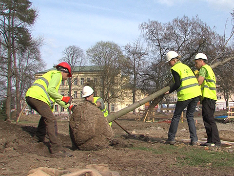 Park Komenského ve Zlíně (Foto: Televize Zlín) Park Komenského ve Zlíně (Foto: Televize Zlín)
