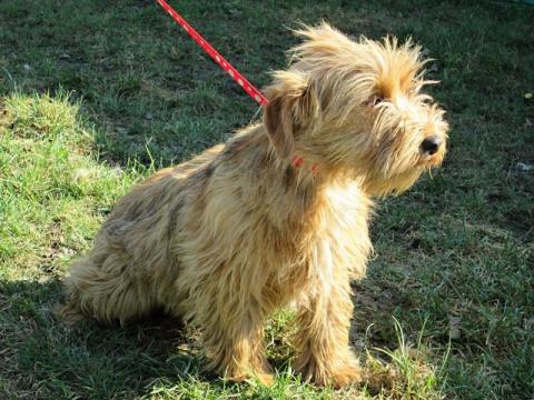 Foto: Veronika Kremelová