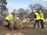 Park Komenského ve Zlíně (Foto: Televize Zlín)