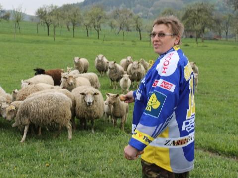 berani fandí Beranům (Foto: Zlin.cz)