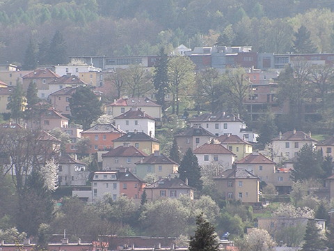 Lesní čtvrt ve Zlíně (Foto: Televize Zlín) Lesní čtvrt ve Zlíně (Foto: Televize Zlín)