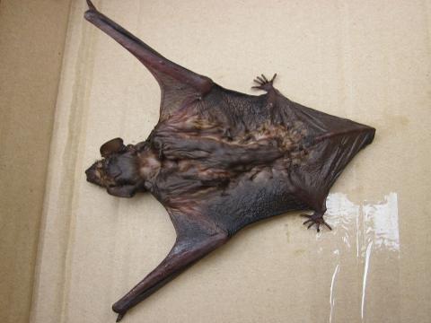 Foto: HZS Zlínského kraje