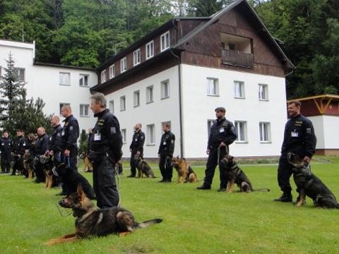 Ilustrační foto (Foto: Policie ČR)
